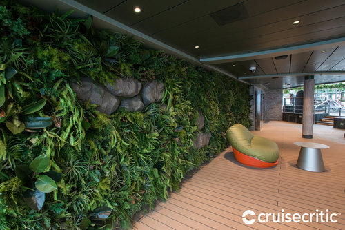 MSC SEASIDE jungle WALL pool lounge PASSIONECREATIVA